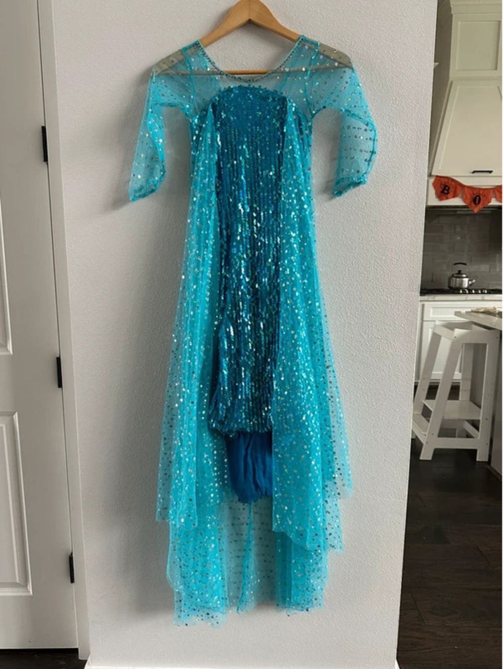 Bi Bei Beiniu Girls Ice Queen Frozen Elsa Sequin Costume Dress Size 120 5/6